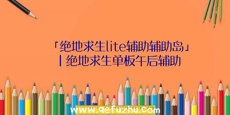 「绝地求生lite辅助辅助岛」|绝地求生单板午后辅助